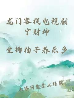 龙门客栈电视剧宁财神