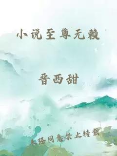 小说至尊无赖