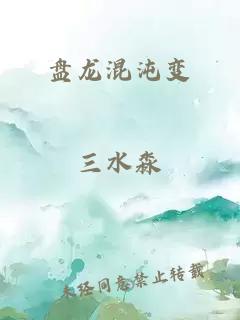 盘龙混沌变