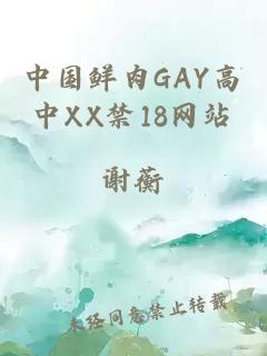 中国鲜肉GAY高中XX禁18网站