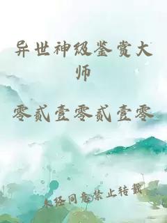 异世神级鉴赏大师