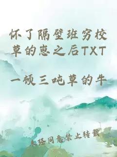 怀了隔壁班穷校草的崽之后TXT