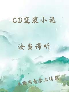 CD变装小说