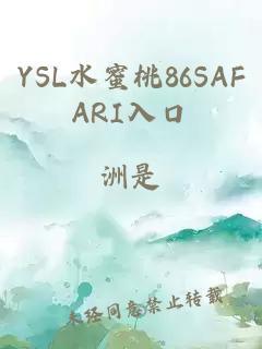 YSL水蜜桃86SAFARI入口