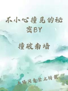 不小心撞见的秘密BY