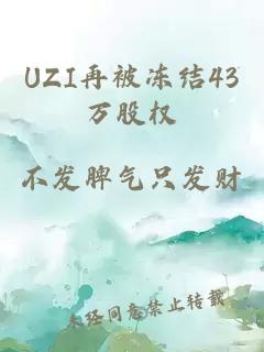 UZI再被冻结43万股权