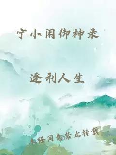 宁小闲御神录