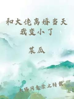 和大佬离婚当天我变小了