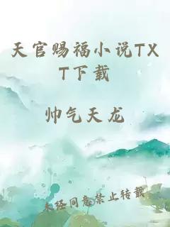 天官赐福小说TXT下载