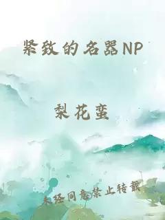 紧致的名器NP