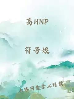 高HNP