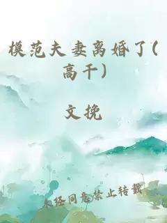 模范夫妻离婚了(高干)