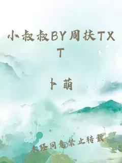 小叔叔BY周扶TXT