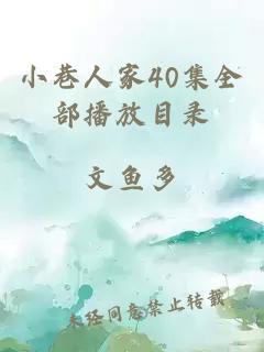 小巷人家40集全部播放目录