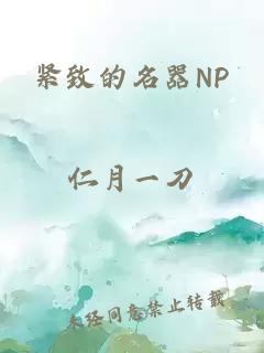 紧致的名器NP