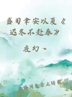 盛司聿安以夏《迟冬不赴春》