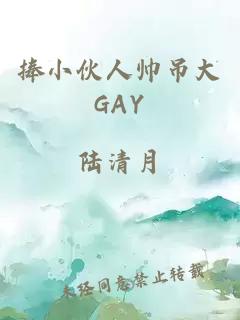 捧小伙人帅吊大GAY