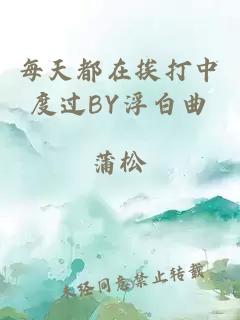 每天都在挨打中度过BY浮白曲