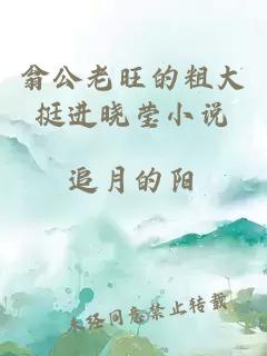 翁公老旺的粗大挺进晓莹小说