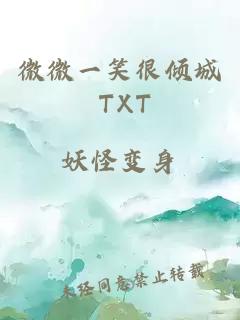 微微一笑很倾城 TXT