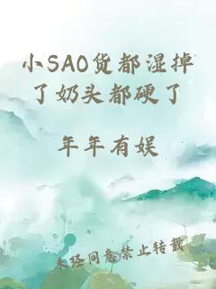 小SAO货都湿掉了奶头都硬了