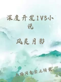 深度开发1V3小说