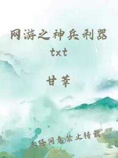 网游之神兵利器txt