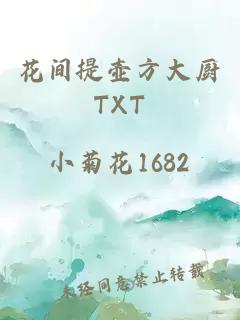 花间提壶方大厨TXT