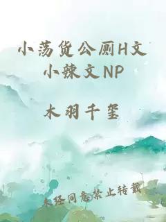 小荡货公厕H文小辣文NP