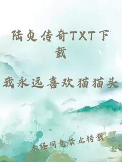 陆贞传奇TXT下载