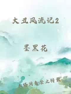 大丑风流记2