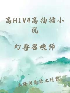 高H1V4高抽插小说