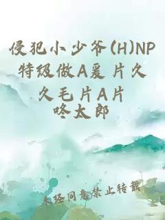 侵犯小少爷(H)NP特级做A爰片久久毛片A片