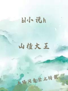 bl小说h