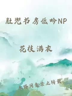 肚兜书房低吟NP