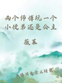 两个师傅玩一个小徒弟还是公主