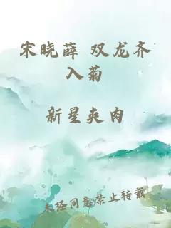 宋晓薛 双龙齐入菊