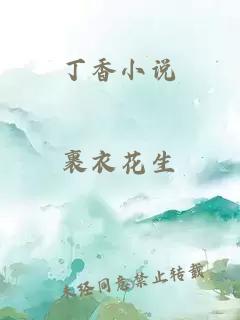 丁香小说