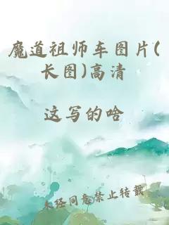 魔道祖师车图片(长图)高清