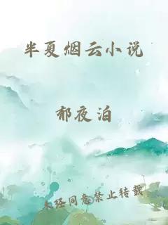 半夏烟云小说