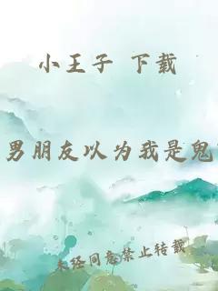 小王子 下载