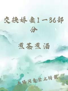 交换娇妻1一36部分