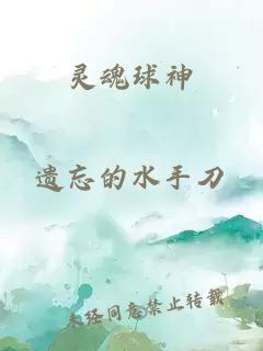 灵魂球神