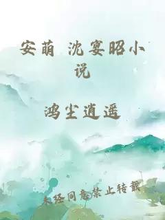 安萌 沈宴昭小说