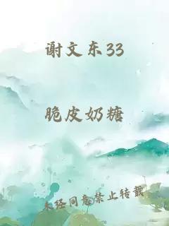 谢文东33