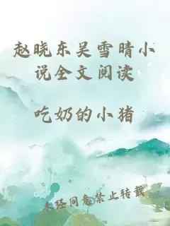 赵晓东吴雪晴小说全文阅读