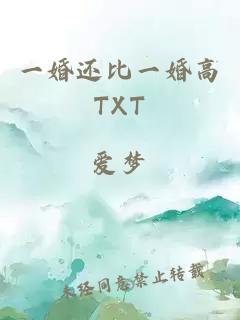 一婚还比一婚高TXT