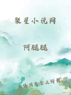 聚星小说网