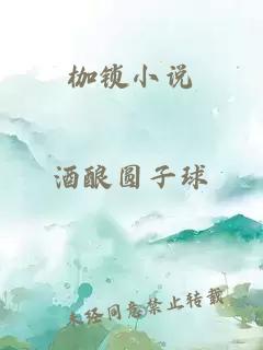 枷锁小说