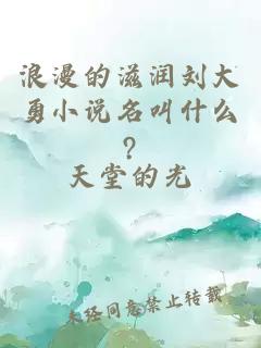 浪漫的滋润刘大勇小说名叫什么?